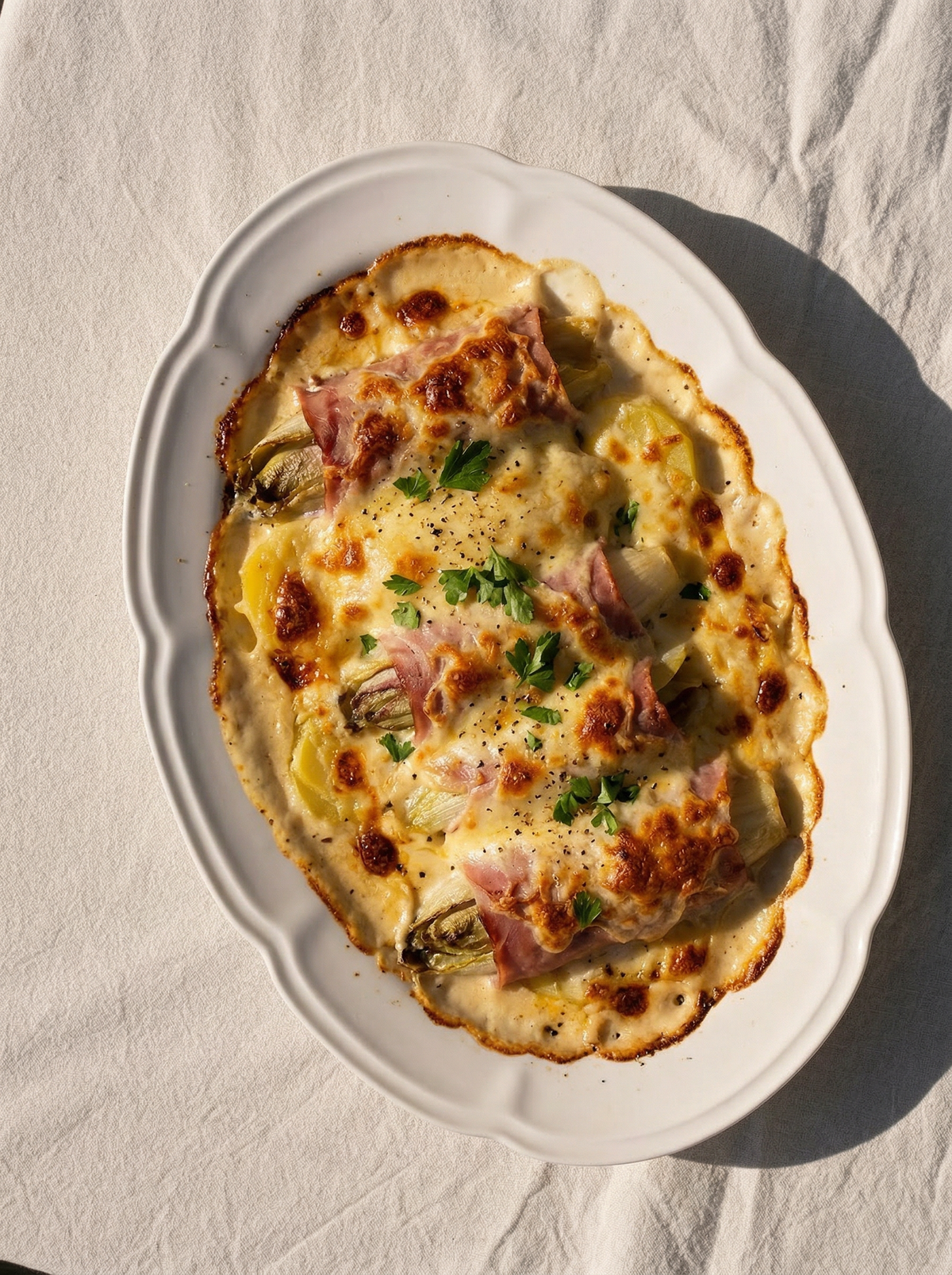 Chicons au gratin
